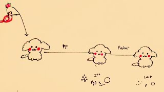 Prepatent period of parasite in just 1 minute [upl. by Ahsemaj]