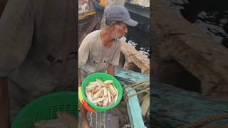 Bhaucha Dhakka fish market Mumbai big fish market in Mumbai fihsvlogs98🐟🦐🐠😷 [upl. by Uziel]