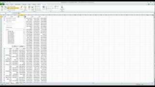 Excel Record Macro AutoFilter [upl. by Montague]