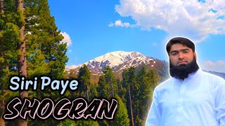 Shogran Seri Paye  Shogran Sri Paye 2024  Waseem Bhai [upl. by Rafferty]