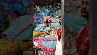 Ham Ho Gaye Radha Rani ke trending bankebihari vrindavan radhavallabh shorts [upl. by Annoyed]