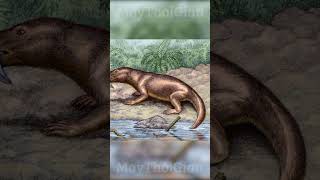 Cynodont tổ tiên của con người 260 triệu năm trước khủnglong kienthuc maythoigian [upl. by Snej576]