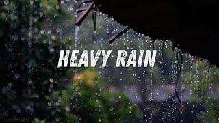 rain sounds for sleep  relax  meditation  rain in the forest [upl. by Tterrab]