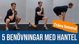 5 benövningar med hantel [upl. by Haig84]