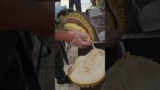 durian tropicalfruit fruitcutting aroundtheworldin80dishes [upl. by Murry]