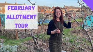 February Allotment Tour  Allotment Gardening For Beginners UK [upl. by Matthei242]