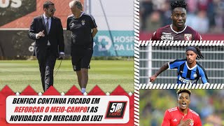 Benfica 202122 ● Águias continuam focados em reforçar o meiocampo [upl. by Robena610]