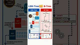 LSM TREE VS B TREE programming reactnative sortingalgorithm coding computerscience education [upl. by Olim]