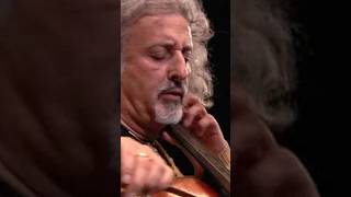 Legendary cellist Mischa Maisky playing Tchaikovsky in Verbier  shorts deutschegrammophon [upl. by Giaimo]