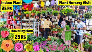 Plant Nursery visit  पौधे की कीमत 25 Rs  Plant Price with Names  Amit Nursery 🌻🌺 [upl. by Gildas]