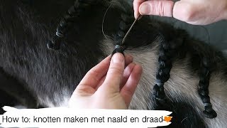 HOW TO paard knotten met naald amp draad  33  Epplejeck [upl. by Newel]