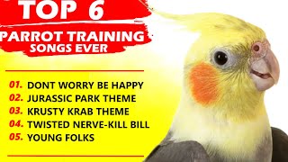 PARROT TRAINING SONGS EVERWhistle TrainingTeach Your BirdCockatiel SingingBudgie [upl. by Ayn792]