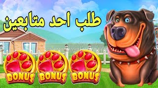 THE DOG HOUSE MEGAWAYS BIG WIN 🐶😱 طلب احد متابعين [upl. by Setarcos]