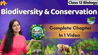 Biodiversity and Conservation Class 12 Biology One shot  CBSE NEET  NCERT Chapter [upl. by Aineg]