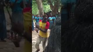 buzz dance senegal culture ma casamance africa [upl. by Vanny]