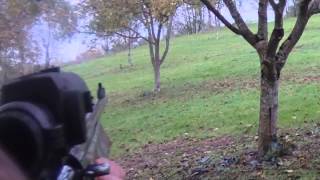 2013 11 17  chasse au grand gibier  sanglier biche daguet [upl. by Charmine]