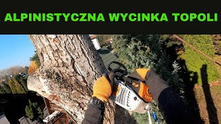 ALPINISTYCZNA WYCINKA TOPOLI  Przytrzaśnięty palec  Błąd przy opuszczaniu urobku  WYCINKARZE [upl. by Hickey341]