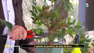 Lagenda du jardinier du mois de mars [upl. by Evangelist]