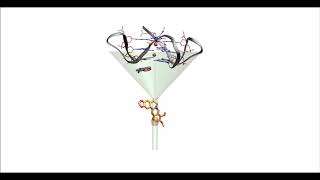 Berberine binding to telomeric Gquadruplex DNA [upl. by Avaria213]