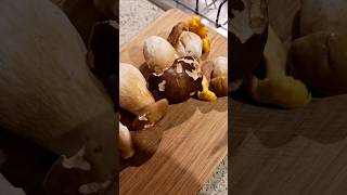 🍝 Creamy Porcini Mushroom Tagliatelle Recipe  Authentic Italian Pasta Dish [upl. by Ettelocin]