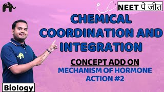 Chemical Coordination and Integration Class 11 Biology NEET  NCERT Chapter 19  Hormone action 2 [upl. by Airogerg]