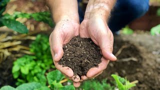 Beginners Guide to Bokashi Composting  What to Expect Start to Finish [upl. by Aicenert]