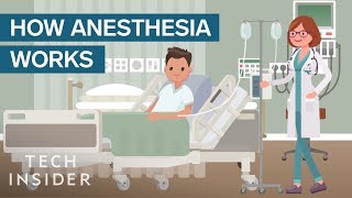 How Anesthesia Affects Your Brain And Body [upl. by Seta852]