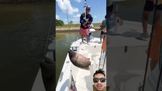 White snapper fish 🔥 fishing fish feedshorts fishvideo shorts short riverfishing snapper [upl. by Barron]