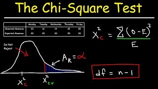 Chi Square Test [upl. by Bill]