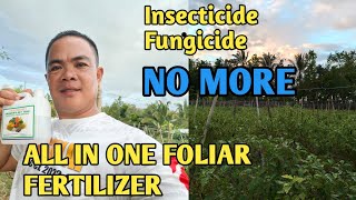 FOLIAR FERTILIZER NA ALL IN ONE [upl. by Haidabo]