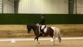 2023 Sport Horse nationals 13 partial [upl. by Persson451]