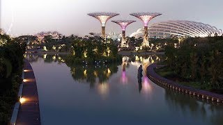 Singapore Gardens by the Bay [upl. by Ecidnacal]