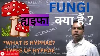 FUNGI L9  What is hyphae Types of hyphae [upl. by Netsrak]