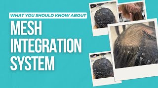 What is the Mesh Integration System [upl. by Aneehsal]