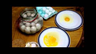 Preserving Eggs in Sodium Silicate Water Glass 10 Months Later [upl. by Eeral]