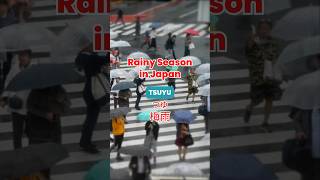 Rainy Season in Japan [upl. by Block602]