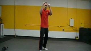 Jeet Kune Do Martial Arts Classes Online Lesson 1 part 1 [upl. by Vano96]