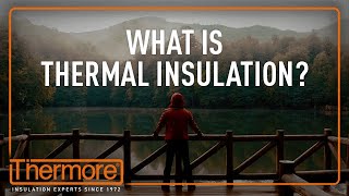 What Is Thermal Insulation  Thermore [upl. by Viridissa970]