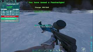 Crystal Isles featherlight spawn location and taming  Ark Survival Evolved  Oglah [upl. by Batory]