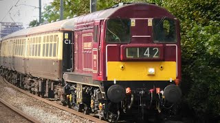 20142 Sir John Betjeman On A Private Charter amp 50008 Thunderer At Hanwell  5th October 2024 [upl. by Garlanda]