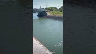 Disfrutando un paseo por el canal de Ventanas en ManzanilloColima [upl. by Adahsar]