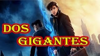 Newt Scamander y Harry Potter ¿Se conocieron [upl. by Jarita464]