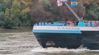 Rheinschifffahrt Ship Spotting Rhine Valleyhier bei HirzenachZu Tal Zu Berg und ab i d Kurve [upl. by Kirtap]