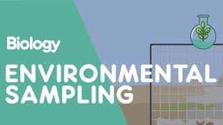 What Is Environmental Sampling  Ecology amp Environment  Biology  FuseSchool [upl. by Neirual232]