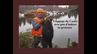 Technique pour le Castor lorsque peu dindices de présence [upl. by Alled]