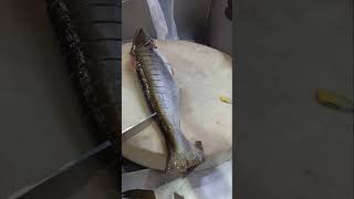 Pangas fish cutting slice skill cutting short YouTube video [upl. by Hecker]