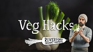 The Breakdown  Fennel  VEG HACKS [upl. by Santini516]