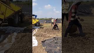 Farmer life farming villagelife villagevlog veligandla raithanna raithukastalu [upl. by Hutt]