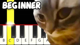 Chipi Chipi Chapa Chapa Dubi Dubi Daba Daba Meme  Fast and Slow Easy Piano Tutorial  Beginner [upl. by Landrum]