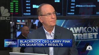 BlackRock CEO Larry Fink Long term investors should be at least 80 in equities or hard assets [upl. by Issak883]